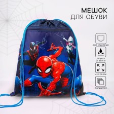 A bag for shoes with a pocket 420*350 mm, Avengers Spider Man (Soft Polyester, Density 210D)