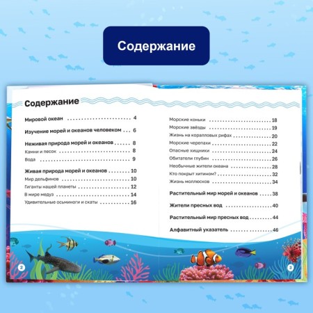 Encyclopedia in solid binding "Underwater World", 48 p.-4