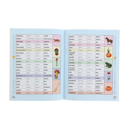 Russian-English dictionary in pictures for elementary school. Shalaeva G.P.-2