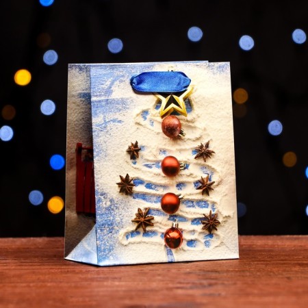 Package Laminated "Image" 11.5 x 14.5 x 6 cm