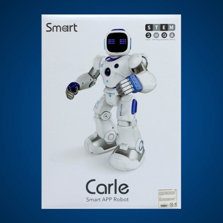 Karl robot, on the radio control, interactive, light, sound effects, works from the battery-11
