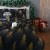 Duet