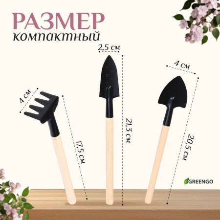 A set of garden tools, 3 objects: rake, 2 blades, length 24 cm, wooden handles, Greengo-5