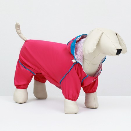 Dog ovens, demi -season with a bag, size 2hl (DS 41, OG 53, Osh 36 cm), pink-1