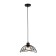Suspended Indigo, 10012/A/1P Black. 1x40W, E27, 250x250x205/1700 mm, black color
