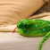 Soft toy "Snake", 19 cm/80cm, green color