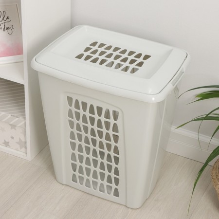 Besnaya basket with a lid "Moletta", 60 l, 47.9 × 36.9 × 55 cm, color is light gray-1