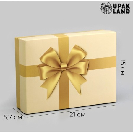 Gift box team "Golden Balt" 21 x 15 x 5.7