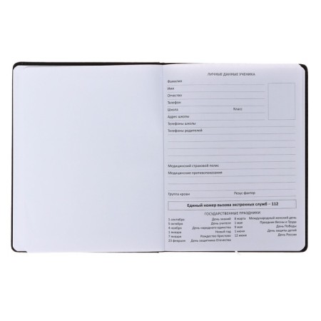 Universal diary for grade 1-11 Hello Girl, hard cover, artificial leather, with foam rubber, liesse, 80 g/m2-3