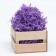 Paper filler, purple, 1000 g