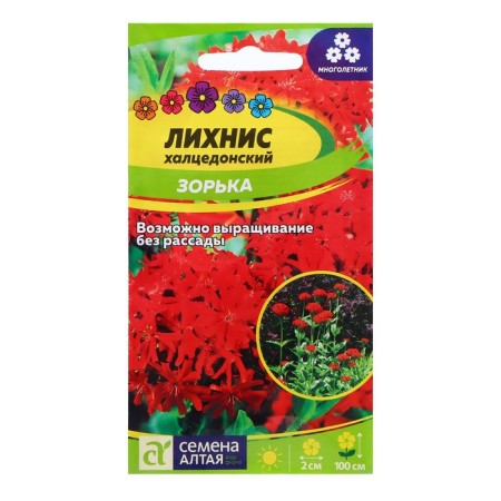 Lichnis seeds "Zorka", 0.1 gr.