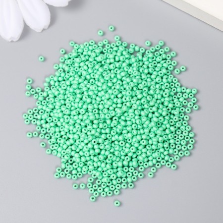 Glass beads 12/0 "gray-green" 15 g-1