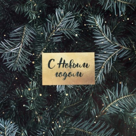 Paper Crafts "Christmas trees", 50 x 70 cm, new year-3