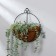 Nasten Kashpo, d = 25 cm, with coconut insert, "hemisphere", Greengo