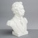 Gypsum figure famous people: Pushkin's bust, 20 x 10 x 26 cm