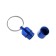 Address - capsule for a note, 2.2 x 1.3 cm, blue
