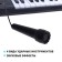 Synthesizer "Children's", 37 keys, with a microphone, black color