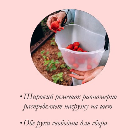 Berry collection capacity, 3 l, transparent-2