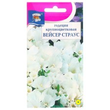 Flower seeds Godegia large -flowered 