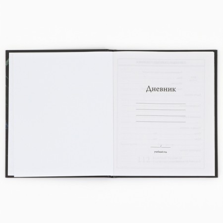 School Diary 1-4 class, in a solid cover, 48 liters "September 1: butterflies"-3