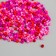 Glass beads 11/0 "cylinder. Pink-red" 10 g