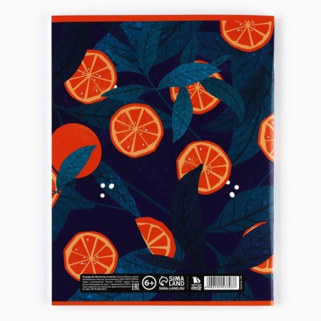 A4 notebook A4, 80 sheets on the paper clip “September 1: Citruses”-3