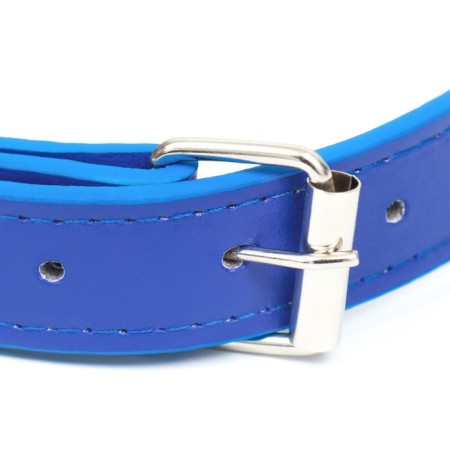 A collar made of artificial leather with a wool for engraving 52 x 2.5 cm, Osh 35-45 cm, blue-2