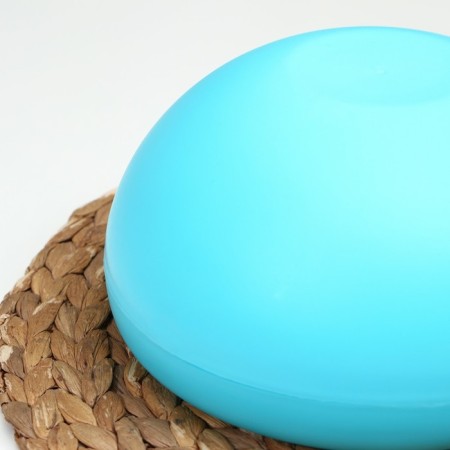 Plastic plate for seeds and nuts "PLETER", 20 × 11 cm, with a stand for the phone, color mix-1