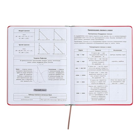 Universal diary for grades 1-11 Excellence, solid cover of artificial leather, silkography, lies, 48 ​​sheets, pink-9
