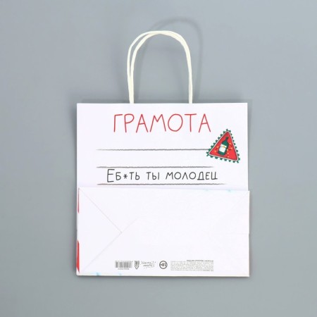 Package Gift craft "Well done", 22 x 22 x 11 cm, new year-7