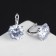 Earrings with the rhinestones "Big Diamond", D = 1 cm, white color in silver