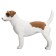 Figure Konik "Jack-Rassel-Terrier"