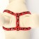 The stolen set "Militari", leash 120 x 1 cm, OG 23-35 cm, red