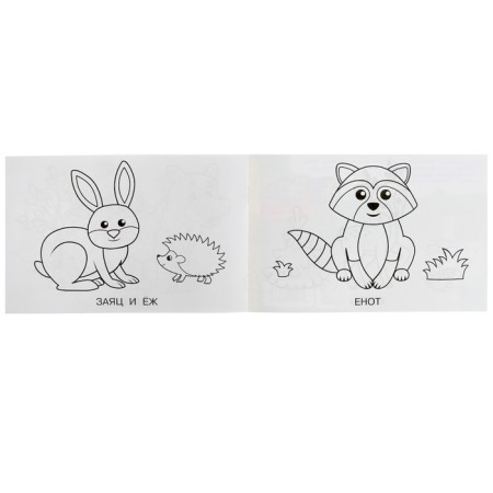 Coloring "Forest animals", 8 pages-3