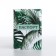 Cover for passport, green color