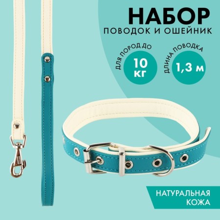 Set of collar (58x2.5 cm) and leash (130x1.4 cm) from eco -leather, turquoise with white
