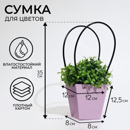 Flower bag lilac-moisture-resistant, 12x12-8 x 8-12.5 cm-1