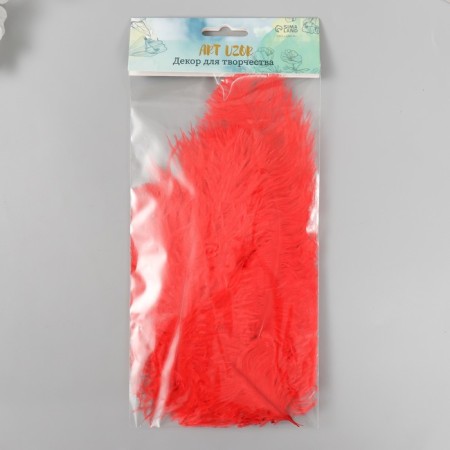 Decorative ostrich feather "Red" h = 15-20 cm-2
