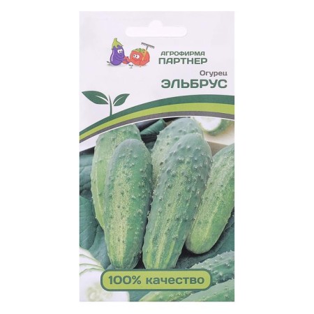 Elbrus cucumber seeds, 1 g
