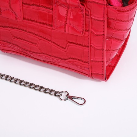 Bag Female Tout with zipper, pink color-4