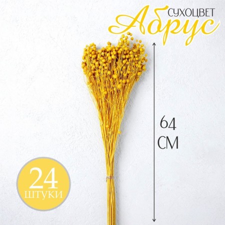 Sukhotzet "Abrus" set 24 pcs, yellow color-1