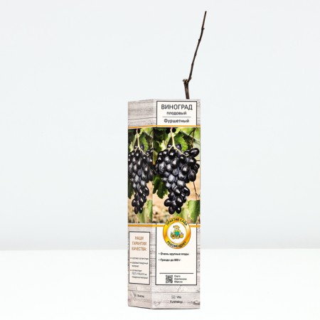 Fruit grapes "buffet", tube, 1 pc, spring 2024-1