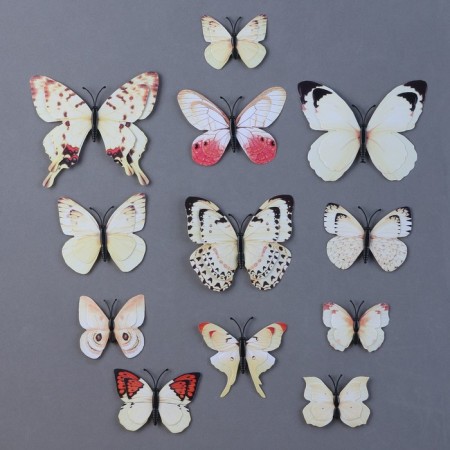 Set for decorating "Butterflies", 12 pcs, with black inserts, white color-1