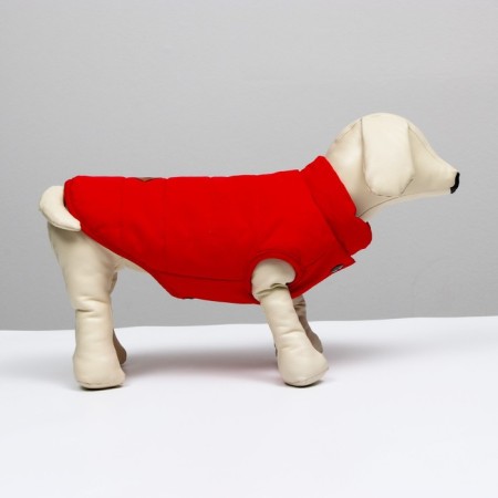 Jacket for dogs, s (DS 20 cm, Osh 23 cm, OG 32 cm), red-1