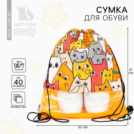 A bag for shoes "cats" with a transparent window 30 x 40 cm