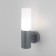 Lamp wall street Elektrostandard, GLAS, 125x64x255 mm, E27, gray color