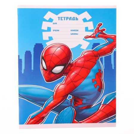 Notebook in a cage 12 sheets, 4 types of mix, cover coated paper, spider-man-6