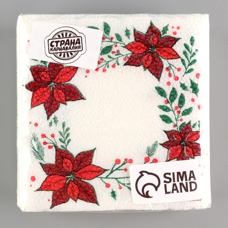 Paper Napkins "New Year's Patterns", single -layer, 24 × 24 cm, set 20 pcs., For the New Year-6