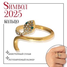 New Year! Symbol of the year 2025! Ring 