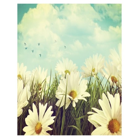 Pillow Golk "Chamomile under the sky, decorative, size 16x45 cm-1